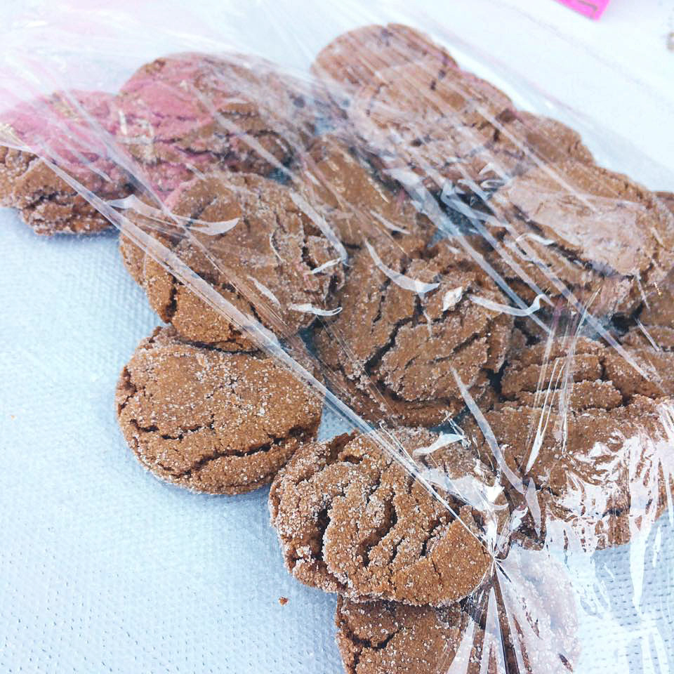 bay-area-vegan-potluck-2016-astigvegan-desserts