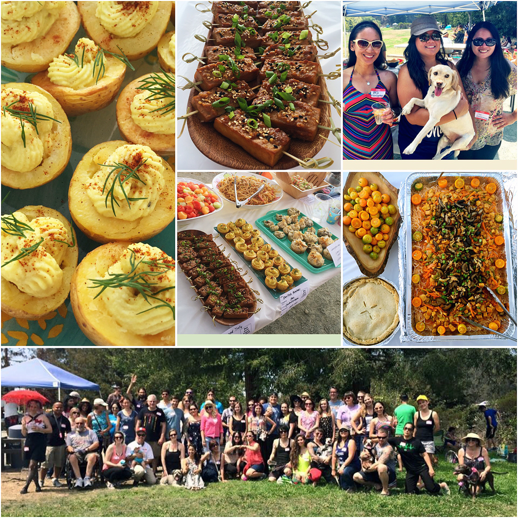 bay area vegan potluck collage