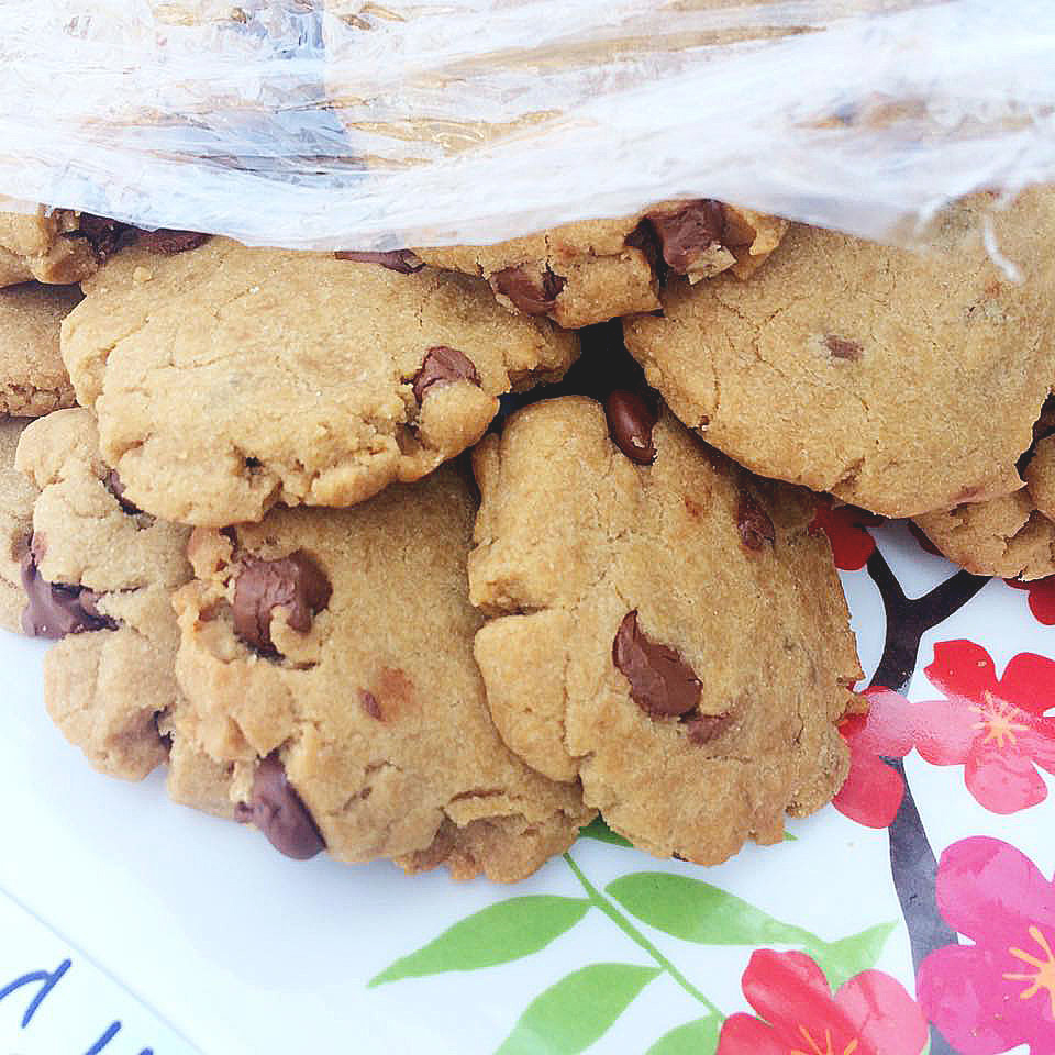 bayarea-vegan-potluck-2016-astigvegan-cookies