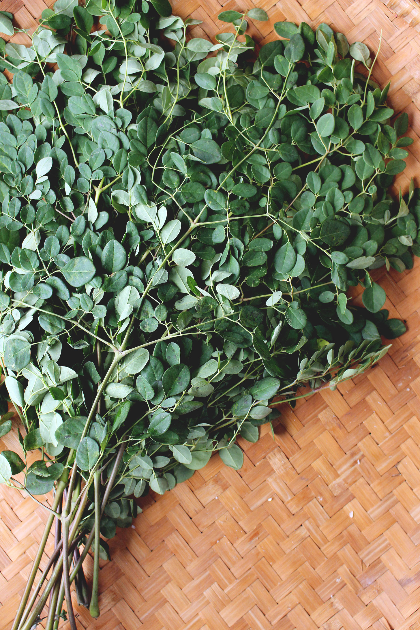 filipino-food-staple-astigvegan-moringga-malunggay