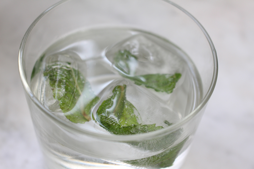 mint ice cubes cu