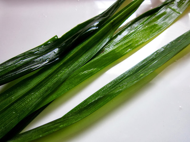pandan-leaves