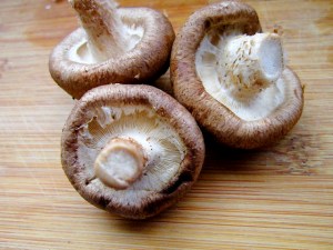 shiitake mushroom