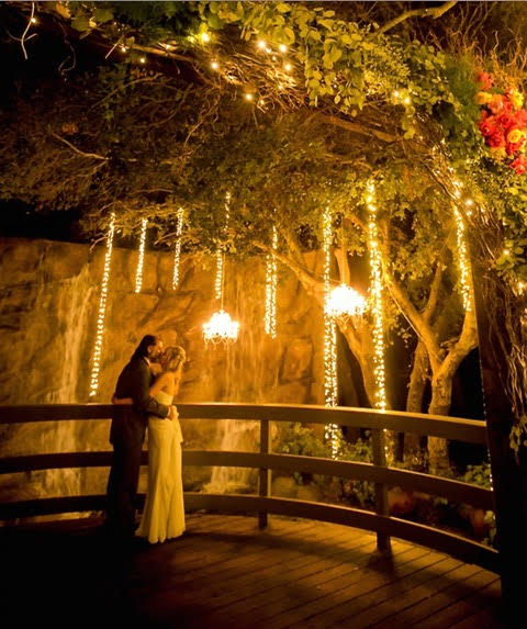 varouge kimberly vegan wedding top 5 tips