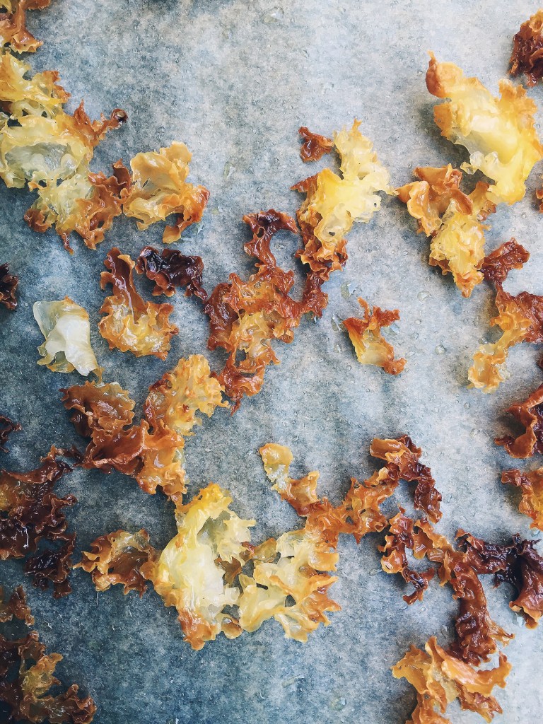 vegan chicharon