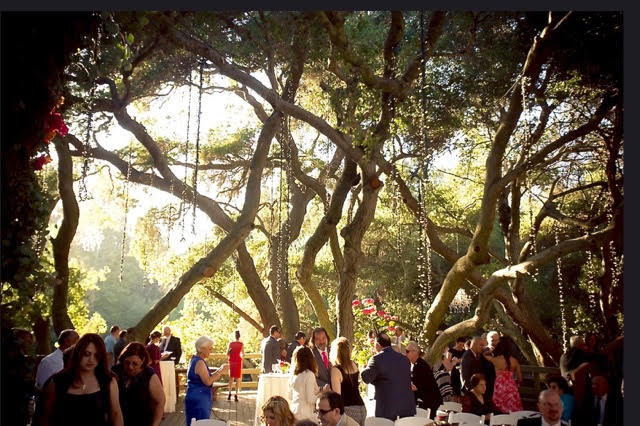 vegan wedding kimberly wedding site