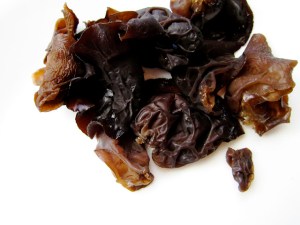 woodear mushroom